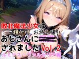敗北魔法少女は種付けおじさんにお持ち帰りされました  vol.2 ルミナス・ヴァルセリア編